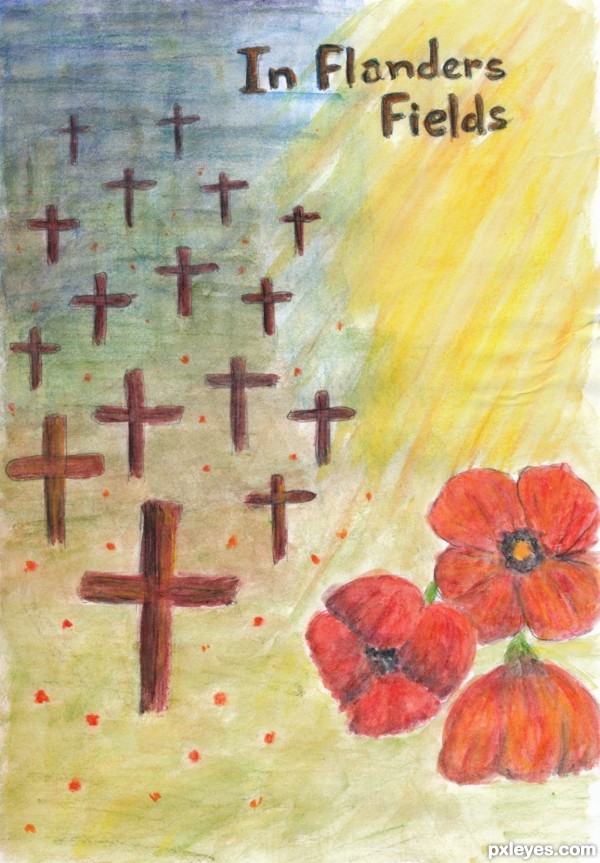 In Flanders Fields